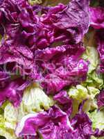 cabbage vegetables food