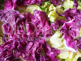 cabbage vegetables food