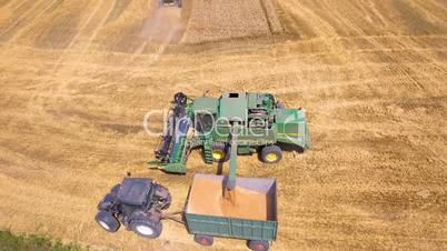 Aerial view of harvesting wheat with a combine