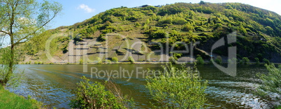 Moseltal bei Starkenburg Panorama