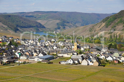 Trittenheim an der Mosel