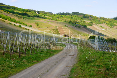 Weinbergsweg