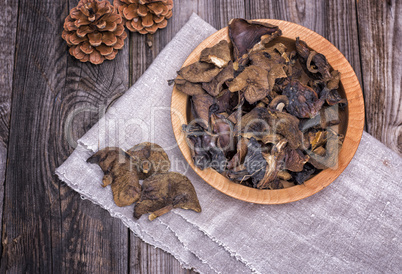 dry forest edible mushrooms