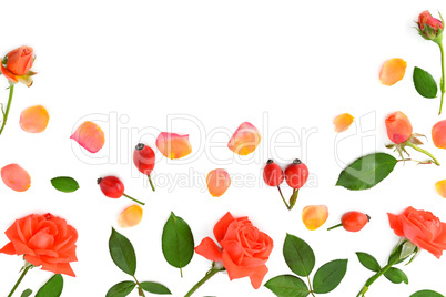 Pink roses isolated on white background. Flat lay, top view.