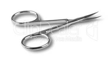 Disclosed professional nail scissors