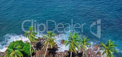 Beach tropical ocean with coral, palm trees and lagoon. Top view