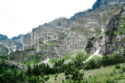 alpine lake sea eye in summer