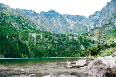 alpine lake sea eye in summer