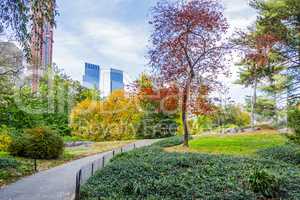 View of Central Park in New York