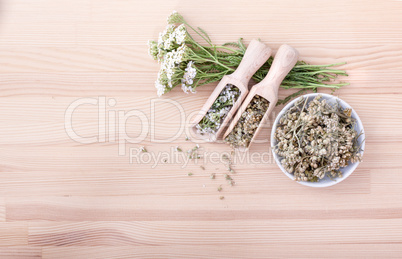 yarrow tea