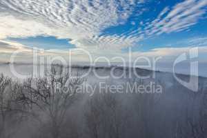 Fluffy clouds over the forest