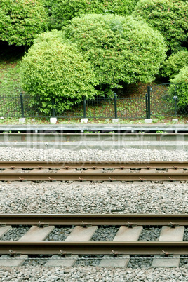 Train lane with stone floor and green plants background