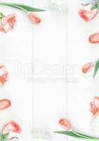 Pastel pink rose border on the white wooden table