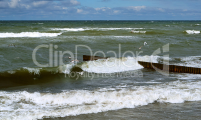 sea wave, storm at sea, waves lapping on the shore