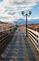 wooden boardwalk through the reeds in the sunlight, a wooden plank promenade with lampposts
