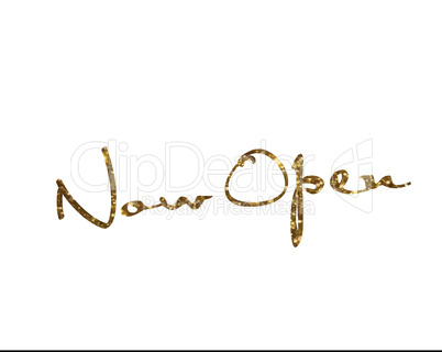 Golden glitter isolated hand writing word NOW OPEN