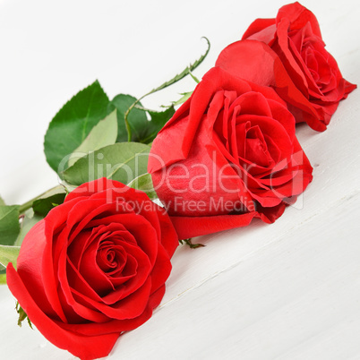 Beautiful red roses on a white wooden background.