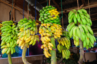 Bananas bunch in fruit shop on sri lanka.