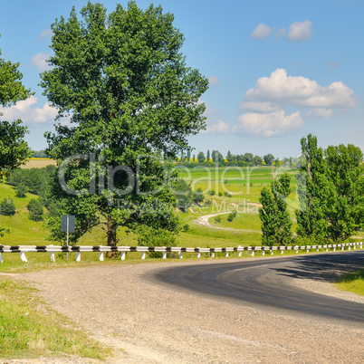 Rural landscape: green hilly fields, trees and blue sky.