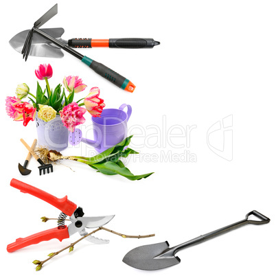 Set of garden tools isolated on white background. Collage. Free