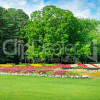 Summer park with beautiful flower beds, meadow and blue sky.