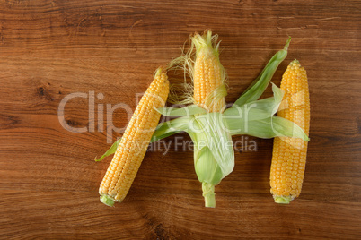 Three fresh corn cob on wooden table.