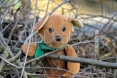 Teddybär hinter Zweigen