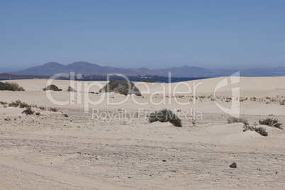 fuerteventura