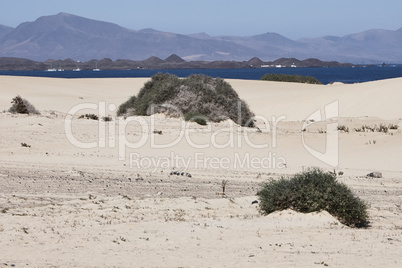 fuerteventura