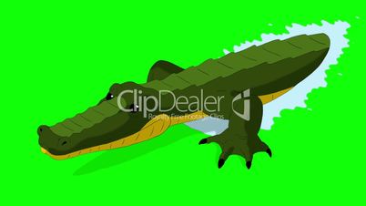 Crocodile Attacks Front View Chroma