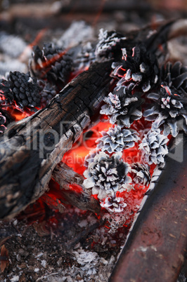 Campfire Closeup Background