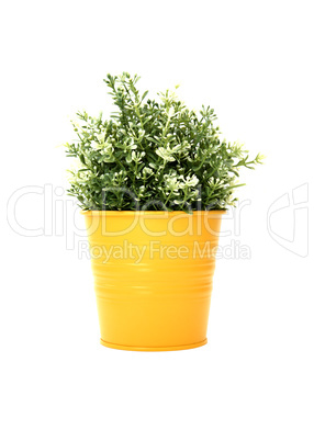 Synthetic Plant In Pot