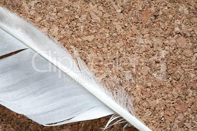 Feather On Wood