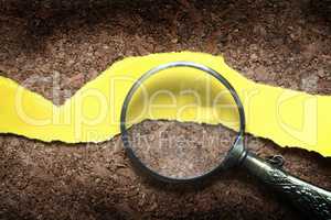 Magnifying Glass And Paper