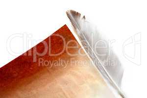 Feather Near Paper