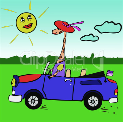 Drawing contour giraffe girl in a red hat rides in a blue car with an open top