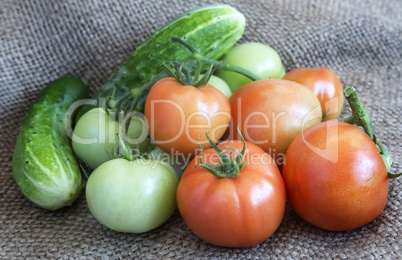 Cucumbers, ripe and green tomatoes on a linen fabric