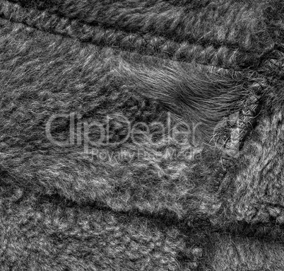 Texture of pieces of natural fur