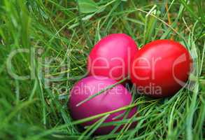 Three Colored Easter Eggs