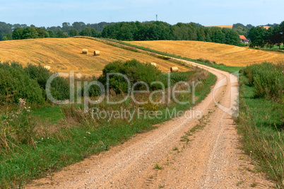 beautiful road in a field, a wide dirt road in a field