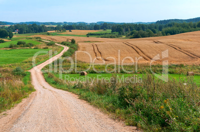 beautiful road in a field, a wide dirt road in a field