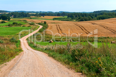 beautiful road in a field, a wide dirt road in a field