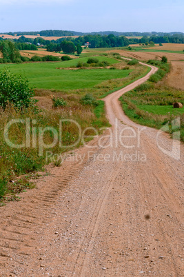 beautiful road in a field, a wide dirt road in a field