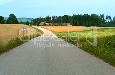 beautiful road in a field, a wide dirt road in a field