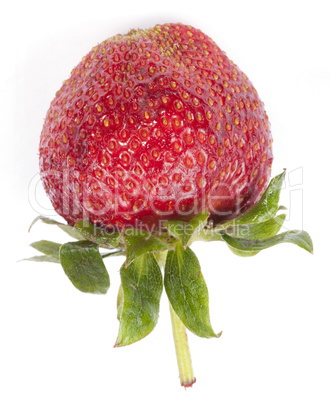 one raw red Strawberry