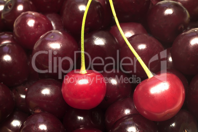 Large ripe fruits of cherry the background image