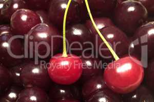 Large ripe fruits of cherry the background image