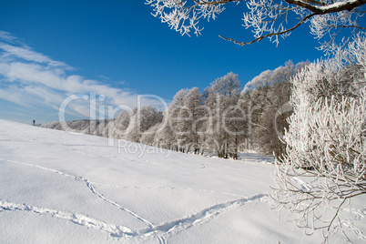 Winter landscape in Thuringia/Germany .