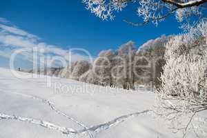 Winter landscape in Thuringia/Germany .
