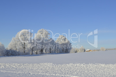 Oberlausitzer Bergland